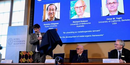 Le Nobel de chimie récompense la découverte de molécules aptes à piéger des gaz ou des liquides